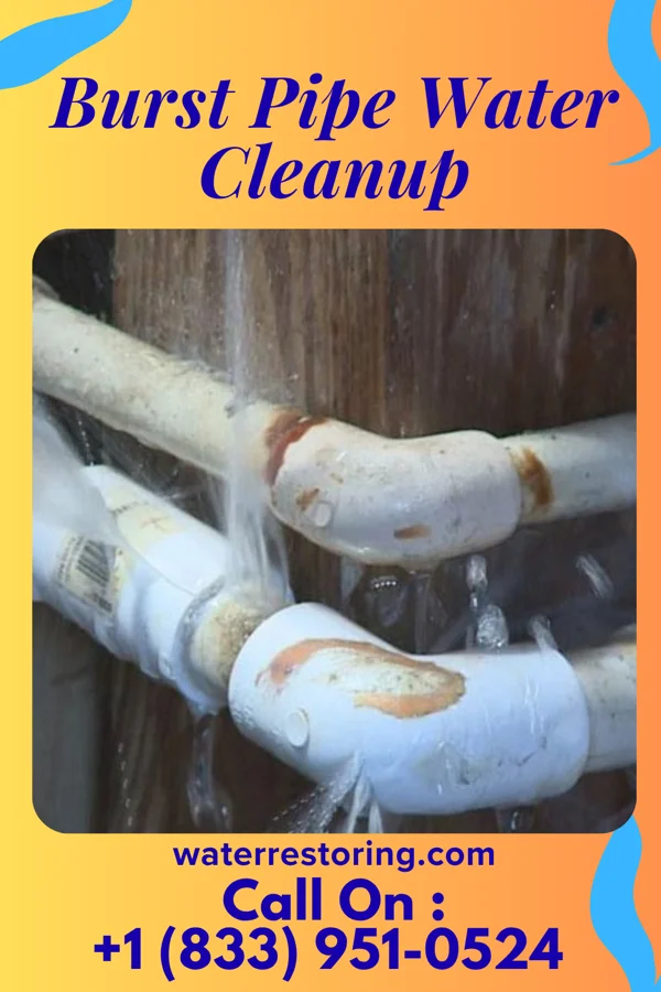 Burst Pipe Water Cleanup in Narcissa, OK
