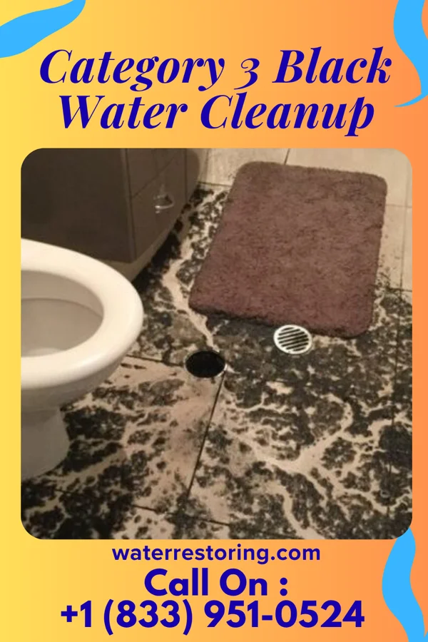 Category 3 Black Water Cleanup in Narcissa, OK